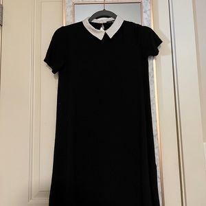 Collared Black Dress